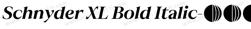 Schnyder XL Bold Italic字体转换